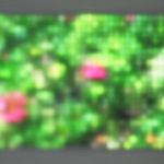 Jim Campbell, Motion Color Study #4, 2024