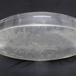 Top view of a clear convex disk with etchings set on a dark grey background.