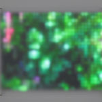 Jim Campbell, Motion Color Study #4, 2024