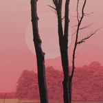 Detail of the center of KAGAMI 33 IV