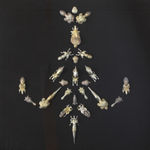 Many small insect-like creatures made of metal are arranged in the shape of an anchor against a black background.