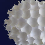 Close up of Egg-shell star burst