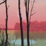 Multiple silkscreen layers of multi-colored paint form a constructed landscape of a blurry and highly pixelated distant river bank jutting from the right of the piece In the foreground three black silhouettes of thin trees obscure the view of the river as well as the faded light pink circle or moon floating in the center of the piece. Towards the bottom another circle murch large and in light blue alludes the the reflection of the moon in the water