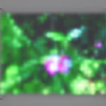 Jim Campbell, Motion Color Study #4, 2024