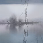 Multiple silkscreen layers of black gray and blue paint form a constructed landscape of a river bank. Off center and towards the right of the piece long thin black lines allude to a vine and travel vertically up and down the artwork