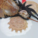 Rina Banerjee, Runaway in rope, liberty protested mirrored in records of menials, natives, and female messages. Massages to the law...