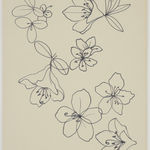 Agnes Martin, Untitled, 1995