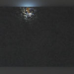 An image of the piece with a small burst of light showing sea shells.