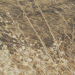 DL Alvarez, Locked, 2022