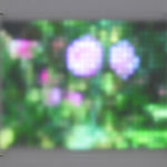 Jim Campbell, Motion Color Study #4, 2024