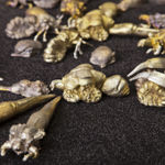 Detail of Swarm (Dauber wasp).