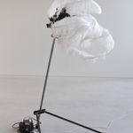 Still image of a moving mechanical sculpture made out of a long black tripod, white ostrich feathers, and custom electronics. The feathers are slightly tilted upwards to the right and obscure the machine center of the sculpture