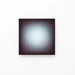 Emil Lukas, lost photograph #80 circa 1860 #1980, 2020