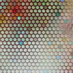 Emil Lukas, lost photograph #80 circa 1860 #1980, 2020