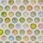 detail of through steamed glass #2115