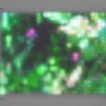 Jim Campbell, Motion Color Study #4, 2024