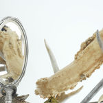 Rina Banerjee, Runaway in rope, liberty protested mirrored in records of menials, natives, and female messages. Massages to the law...