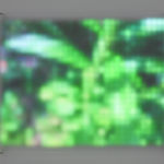 Jim Campbell, Motion Color Study #4, 2024