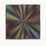 Anoka Faruqee & David Driscoll, 2024P-25, 2024