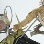 Rina Banerjee, Runaway in rope, liberty protested mirrored in records of menials, natives, and female messages. Massages to the law...