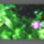 Jim Campbell, Motion Color Study #4, 2024