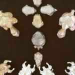 Detail of Swarm (Scarab).