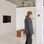 Liliana Porter, White Flag, 2018