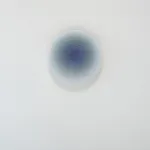 Installation view of silent descent #2054