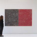 Horizontal installation view of Bush Plum - diptych.