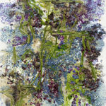 Adam Fuss Theia flowers purple blue green