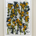 Framed photograph by Adam Fuss of Arrangement of crushed yellow ranunculus on crushed charcoal in abstract arrangement from Theia series