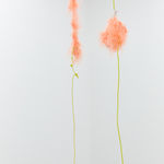 MARGRÉT H. BLÖNDAL, Untitled, 2020