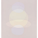 ÓLAFUR ELÍASSON, Solar short-term memory (7 seconds), 2020