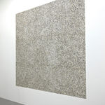 RAGNA RÓBERTSDÓTTIR, Shellscape, 2013