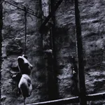 Various International Artists, Arnold Genthe - Untitled, 1908