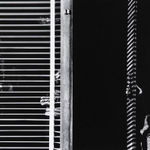 Various International Artists, Arnold Genthe - Untitled, 1908