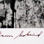 Various International Artists, Arnold Genthe - Untitled, 1908