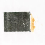 Vera van Almen, Whispers of the Arid, 2021