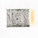 Vera van Almen, Whispers of the Arid, 2021