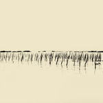 Paul Cupido, Yu II, 2019