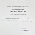 Thumbnail of additional image