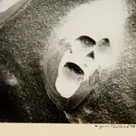 Wynn Bullock, Point Lobos, 1970