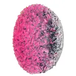 Zhuang Hong-yi, Changing Bouquet, 2021