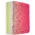 Zhuang Hong-yi, Desert Skies