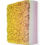 Zhuang Hong-yi, Desert Skies