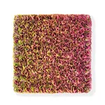 Zhuang Hong-yi, Desert Skies