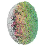 Zhuang Hong-yi, Changing Bouquet, 2021