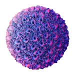 Zhuang Hong-yi, Youth, 2022