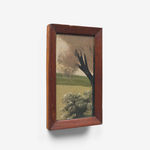 Frank Walter, Untitled (Field with Cane and White Flowers)