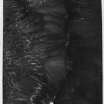 Peng Kanglong 彭康隆, The Secret Garden 后山花园, 2021